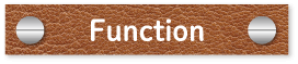 Function