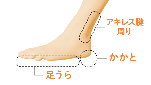 ※イラストは足うらつぼのイメージです。